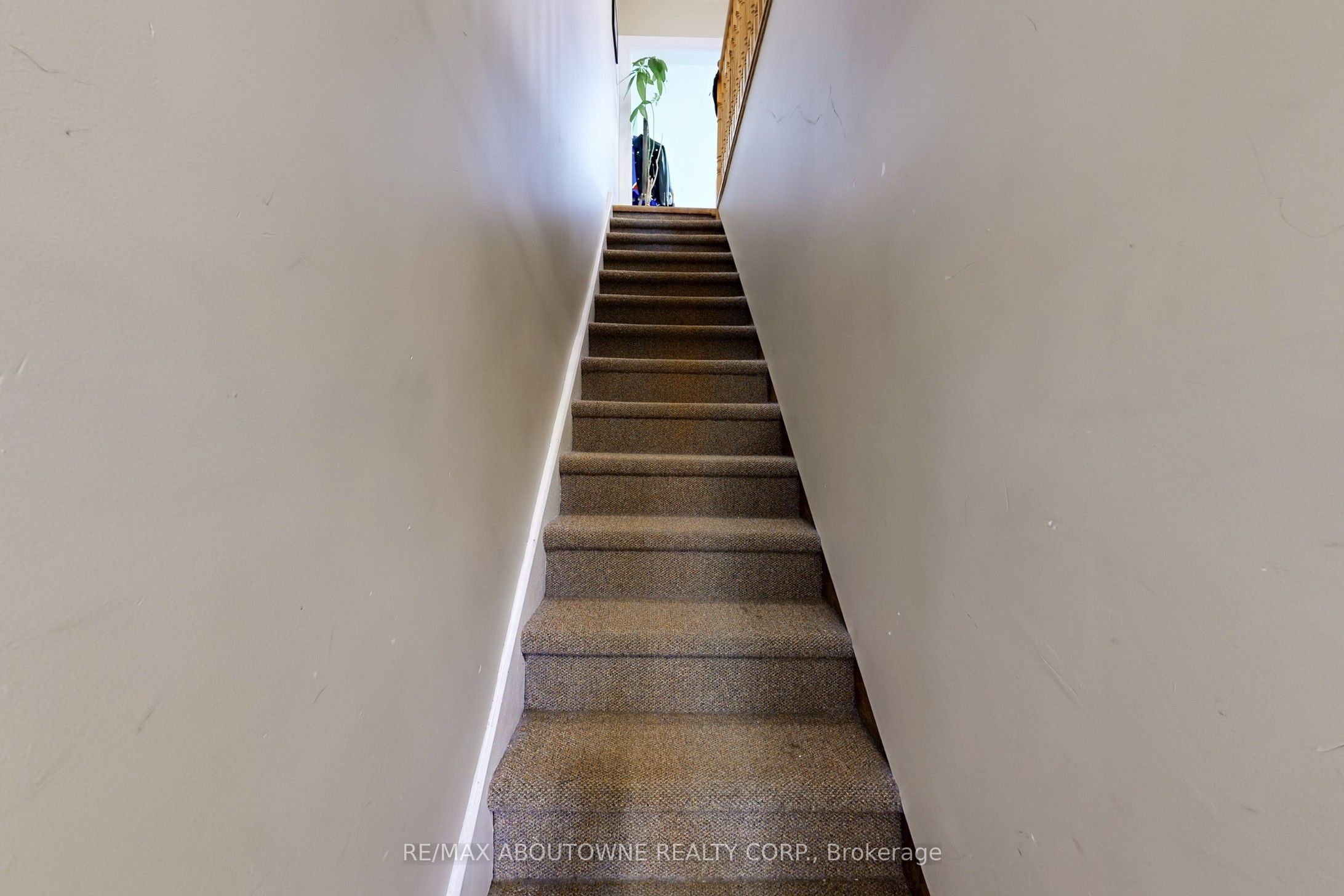 515 Ossington Avenue, Toronto C01 ‣ C12593278 515 Ossington Avenue, Toronto C01 ‣ C12593278