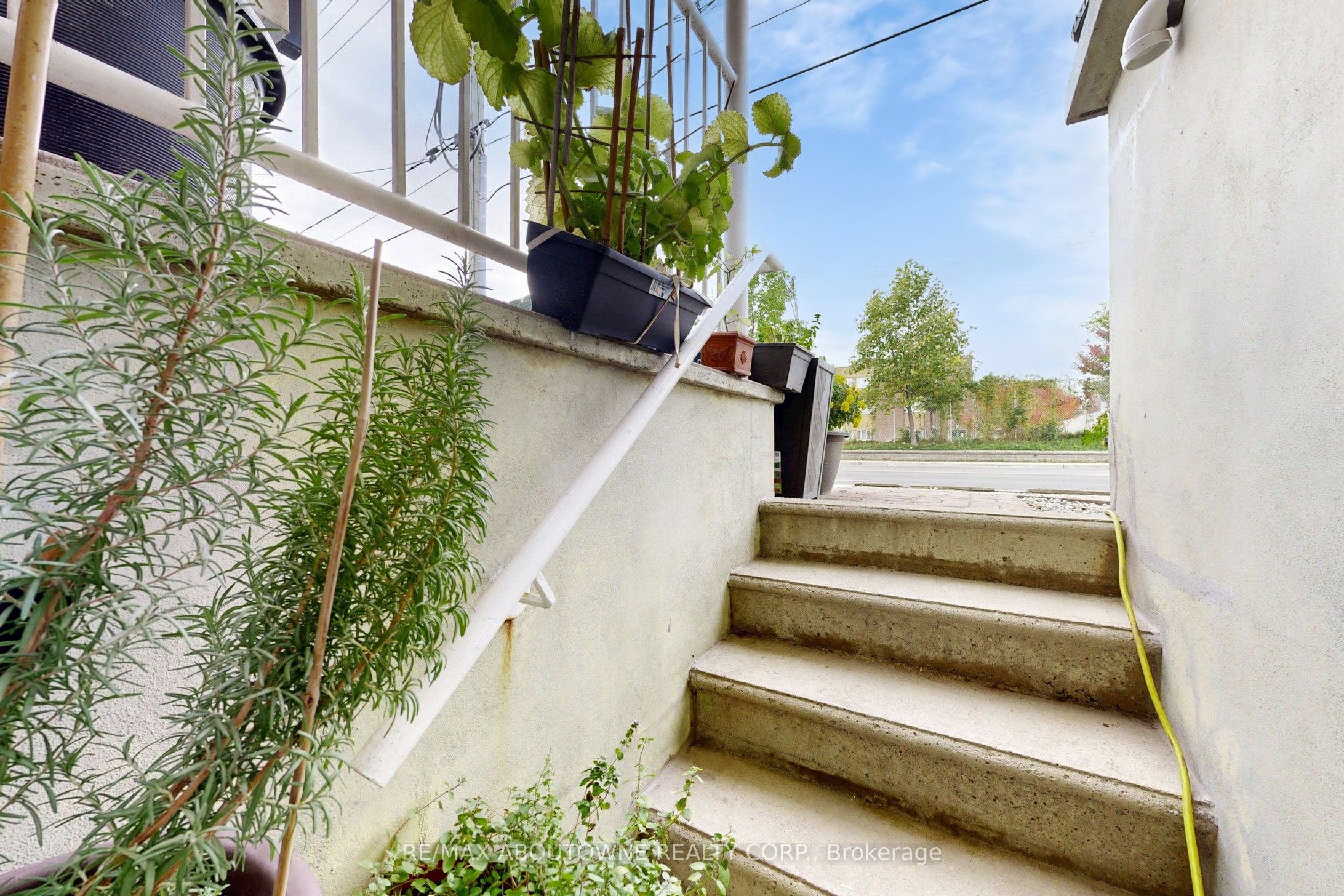 515 Ossington Avenue, Toronto C01 ‣ C12593278 515 Ossington Avenue, Toronto C01 ‣ C12593278