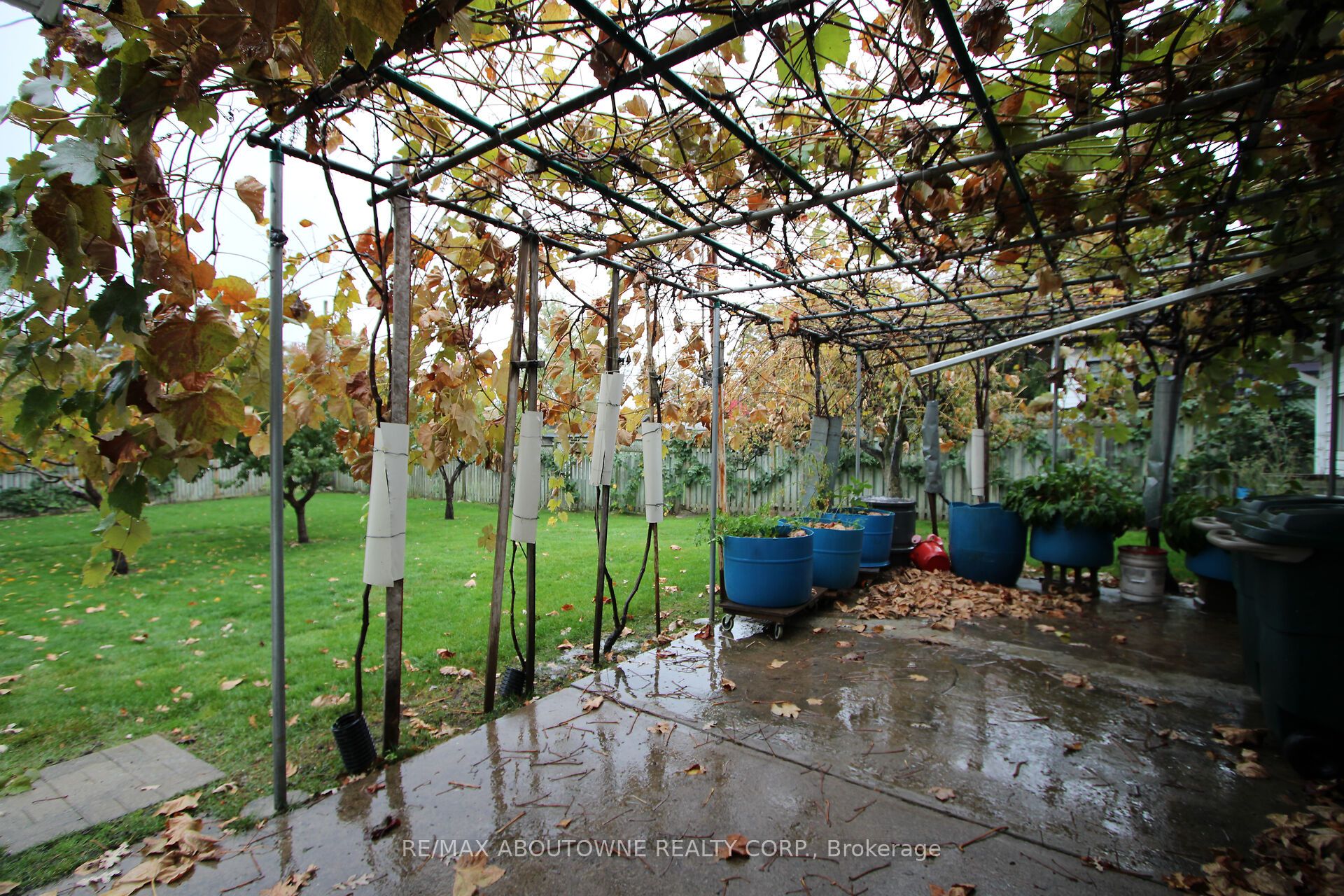 34 Glenmanor Drive, Oakville ‣ W12509616 34 Glenmanor Drive, Oakville ‣ W12509616