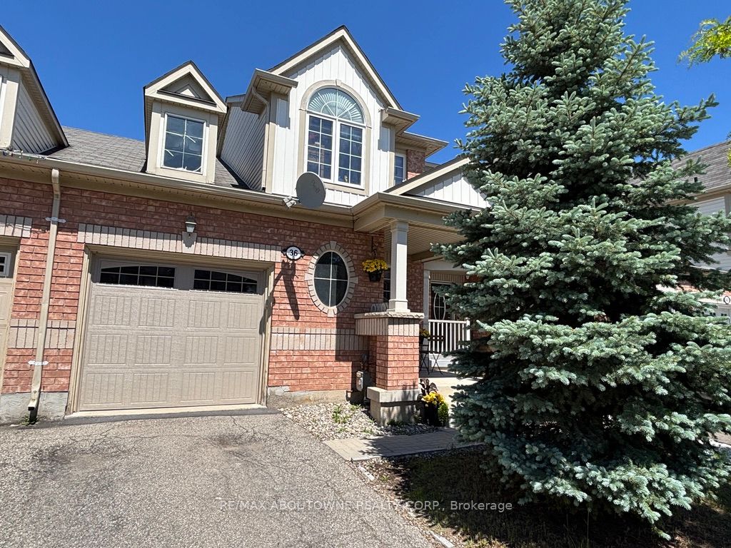 36 Van Fleet Terrace, Milton