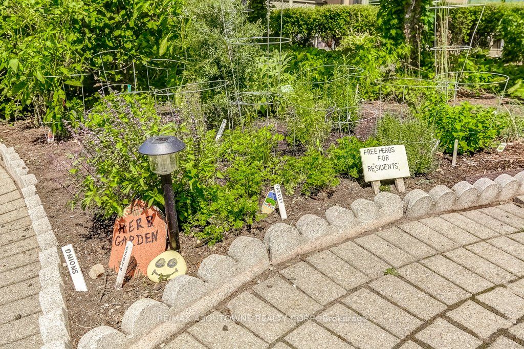19 – 2511 Lakeshore Road, Oakville ‣ W13628006 19 – 2511 Lakeshore Road, Oakville ‣ W13628006