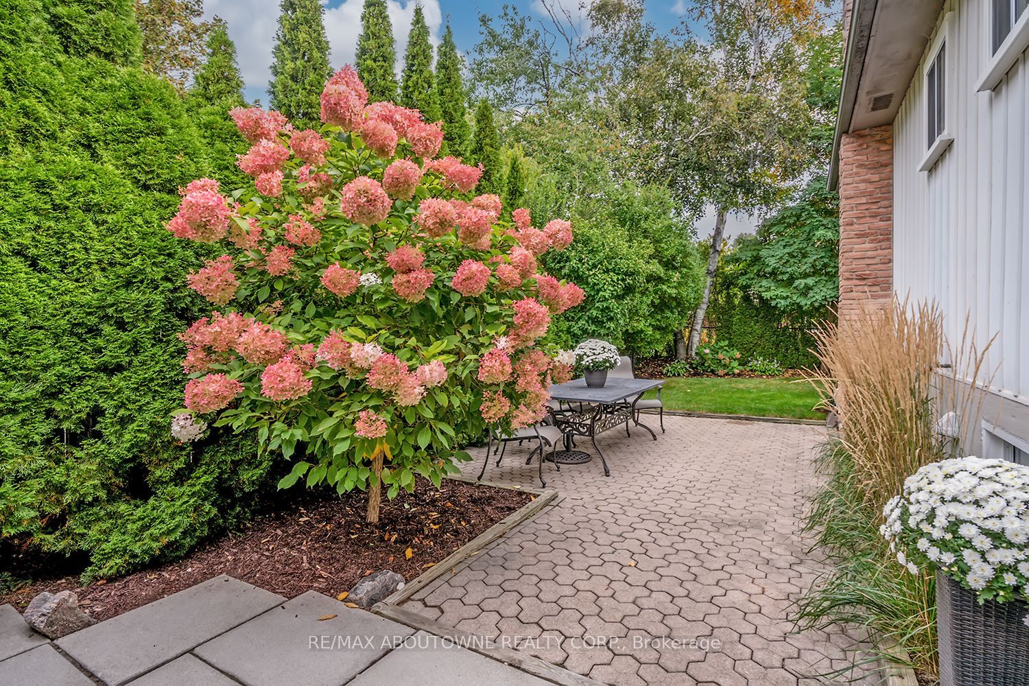 173 Arichat Road, Oakville ‣ W14087652 173 Arichat Road, Oakville ‣ W14087652