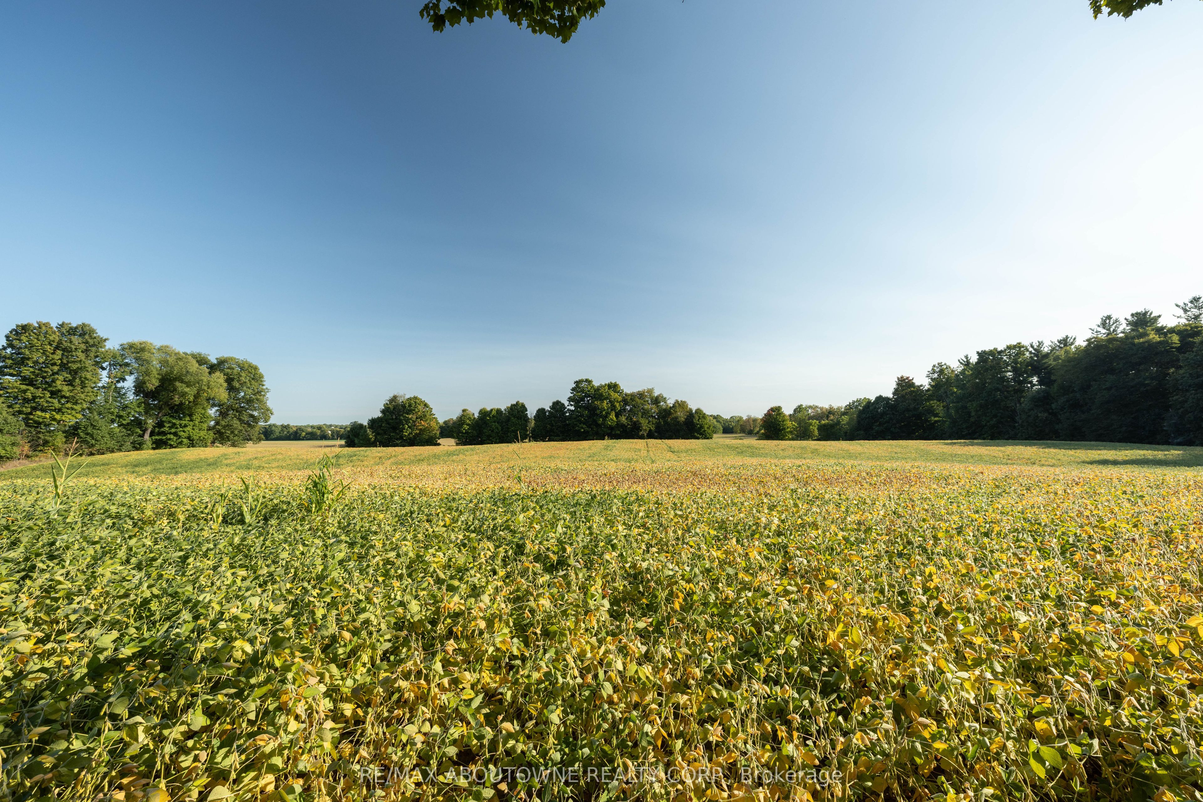 3276 Governors Road, Hamilton ‣ X12560012 3276 Governors Road, Hamilton ‣ X12560012